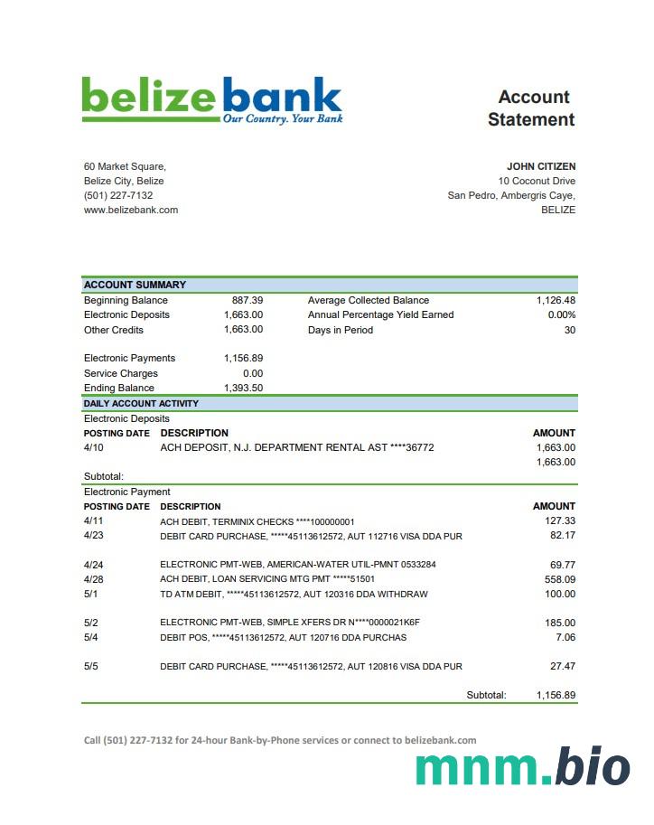 Szablon wyciągu bankowego Belize Belize W programie Word i PDF